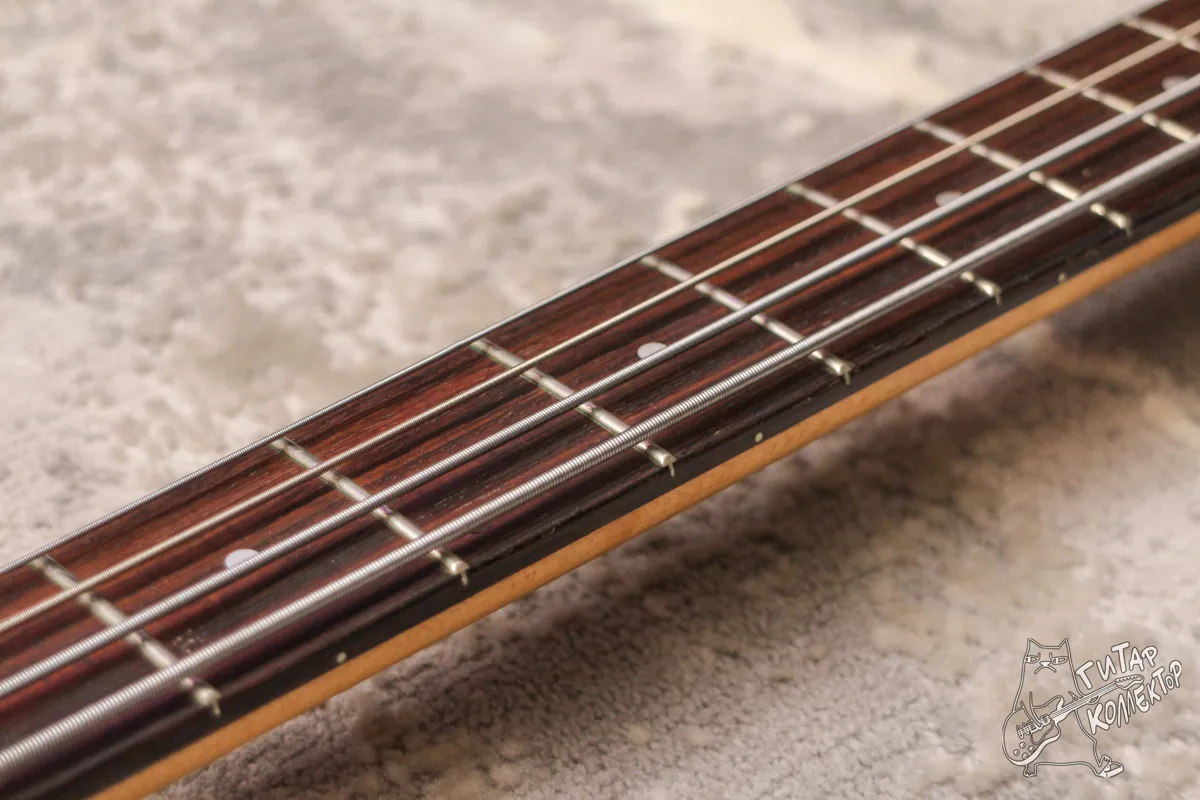 Fernandes FRB-55 Bass Black
