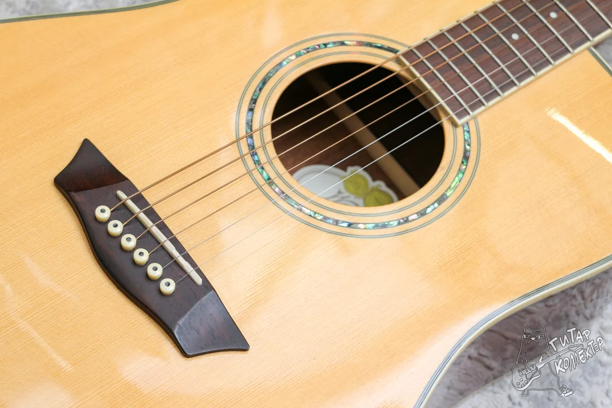 Washburn WCD18 Dreadnought Natural