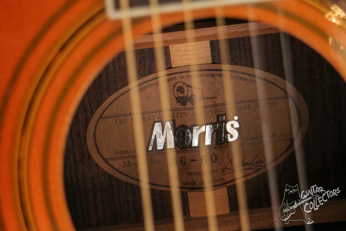Morris MG-60 Acoustic Guitar