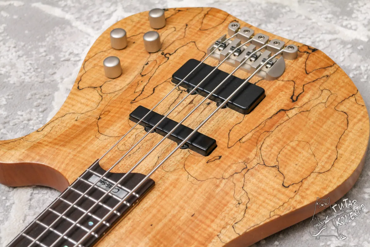 Washburn CB-14 SP Spalted Maple Bass
