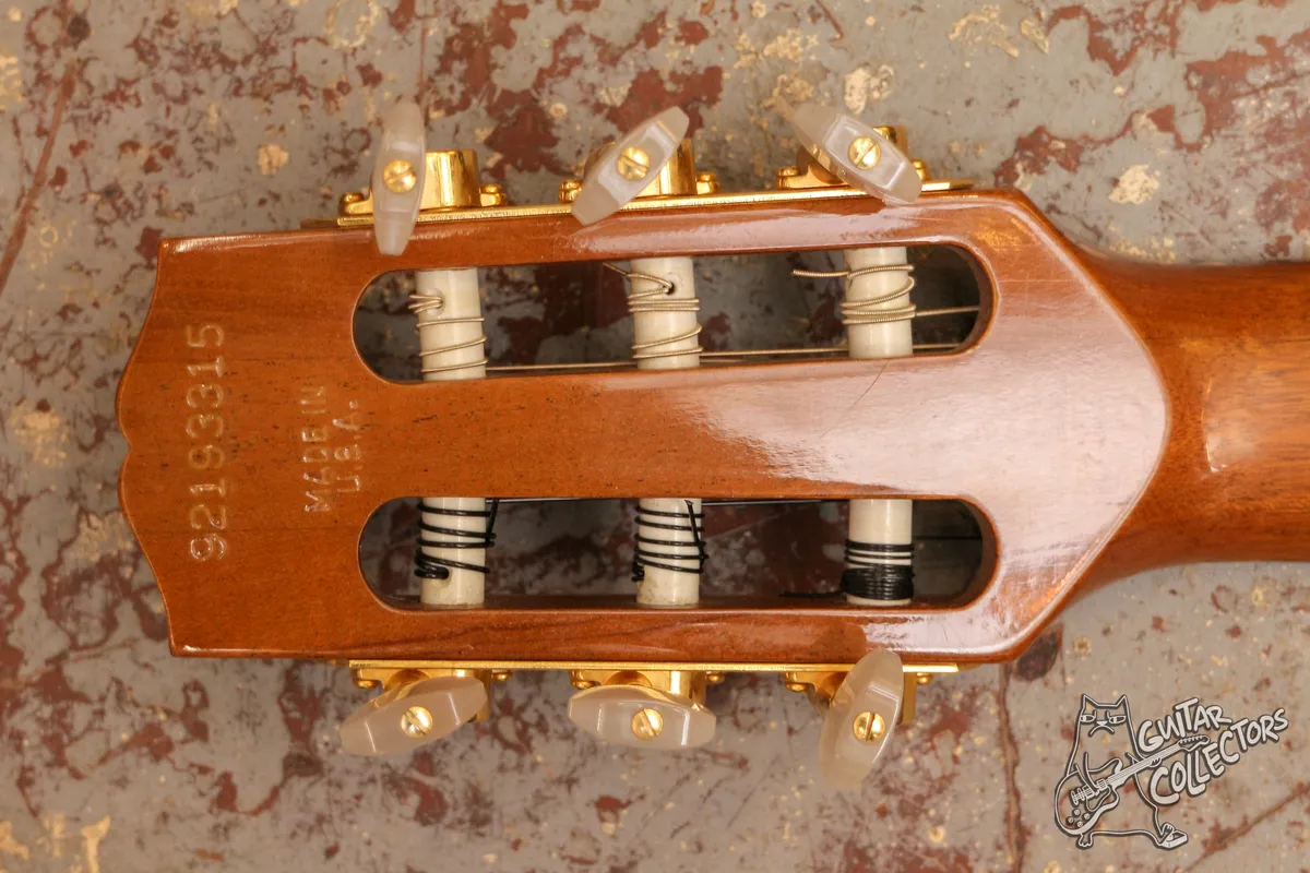 Gibson Chet Atkins CE Nylon