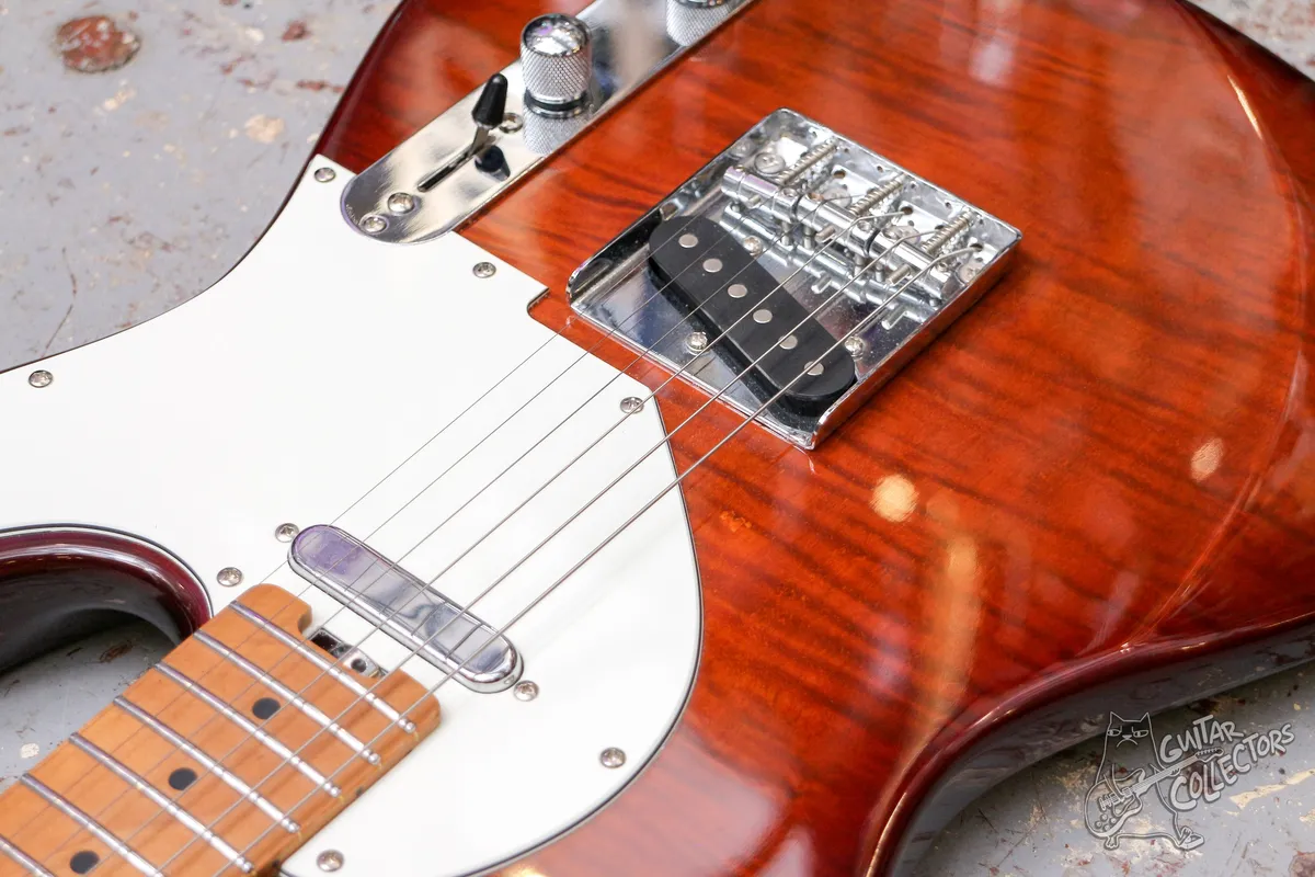 Eart Guitar NK-C1 Trans Brown Telecaster