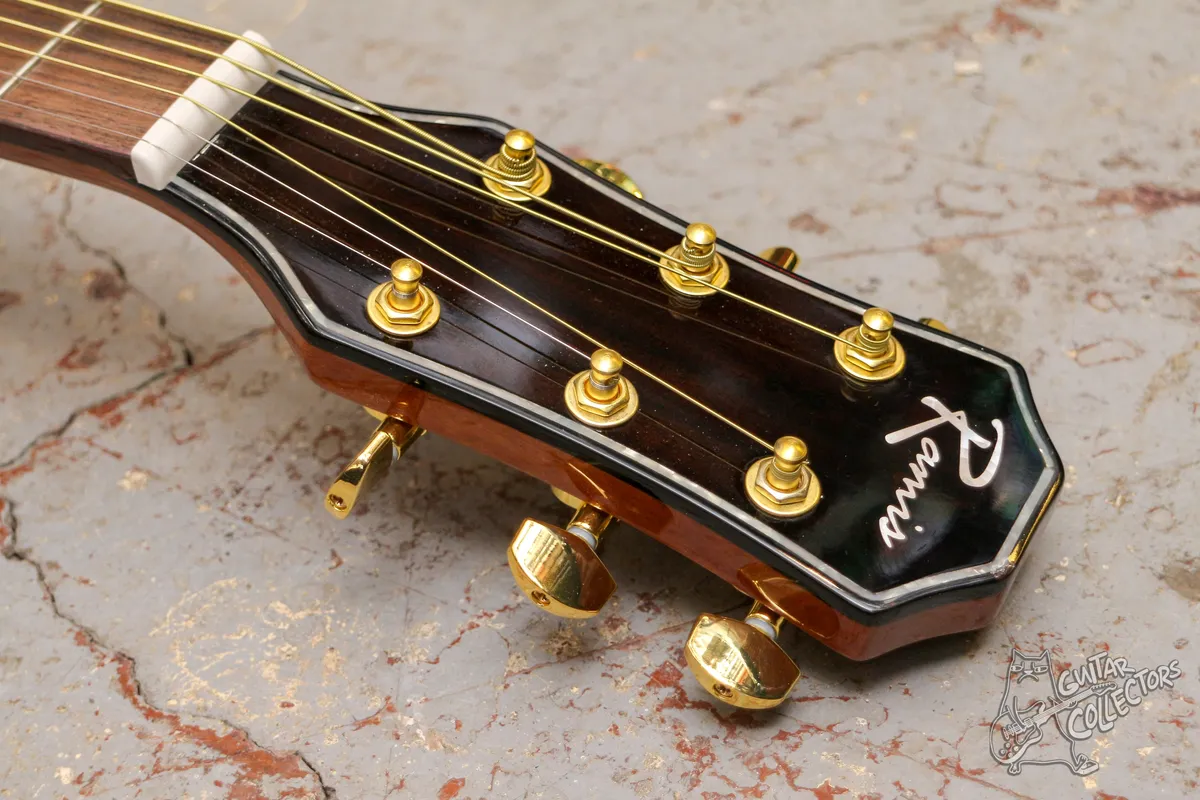 Ramis RA-C03C-NL Dreadnought