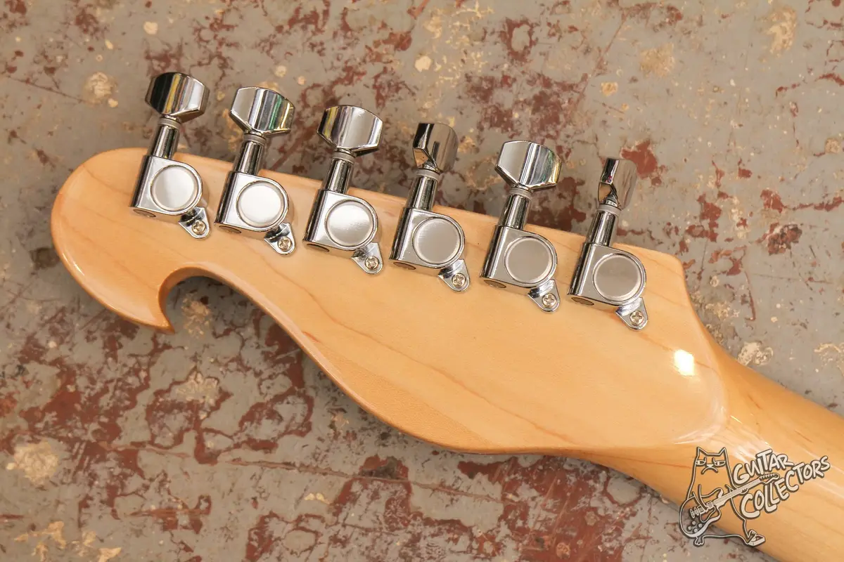 Bill Lawrence SwampKaster S Stratocaster