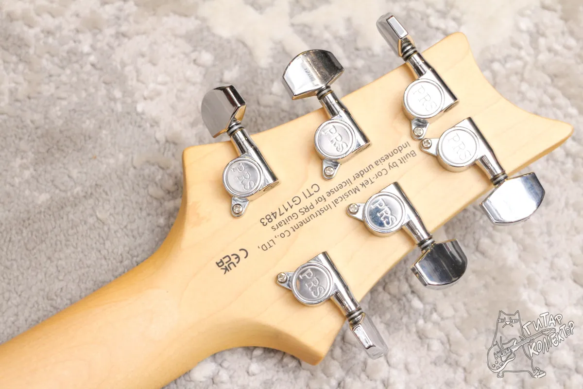 PRS SE Swamp Ash Special Charcoal