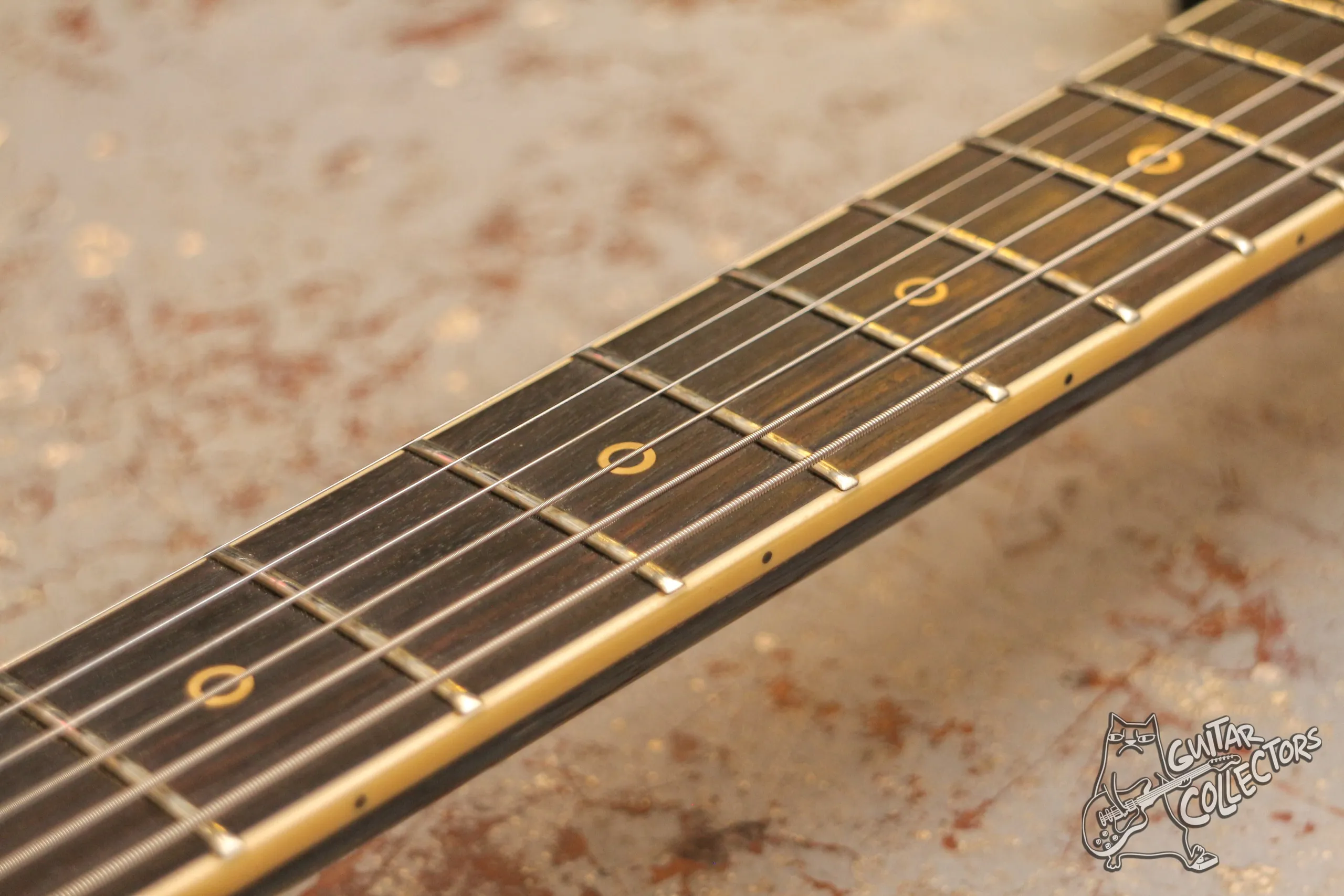 Washburn Falcon B-model Wing Series