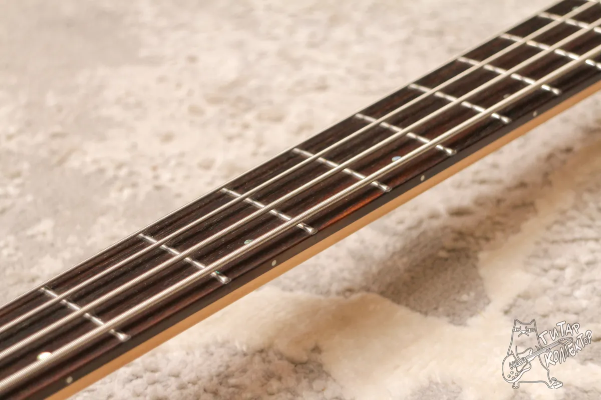Washburn CB-14 SP Spalted Maple Bass
