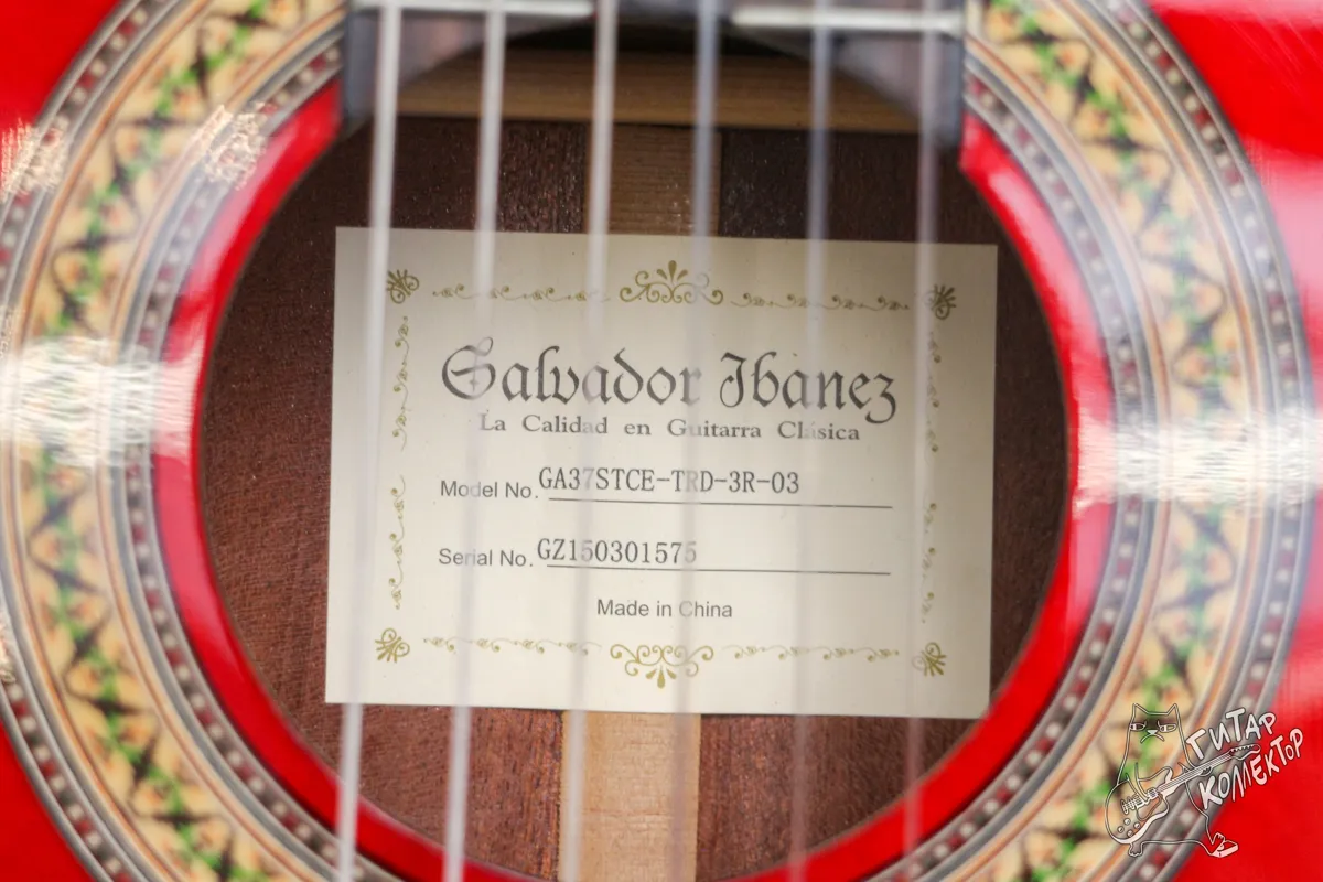 Ibanez GA37STCE Classical Guitar Transparent Red High Gloss