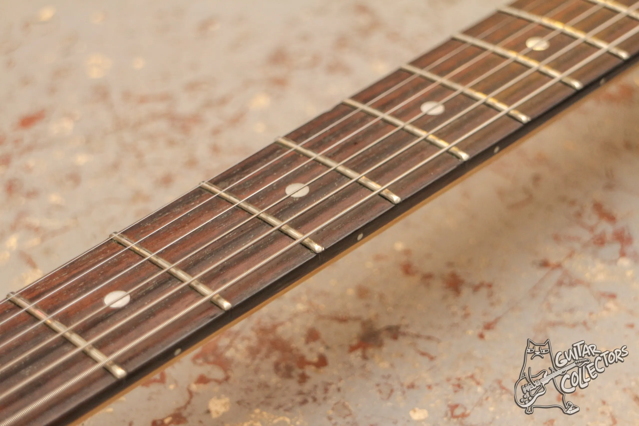 SGR by Schecter 006