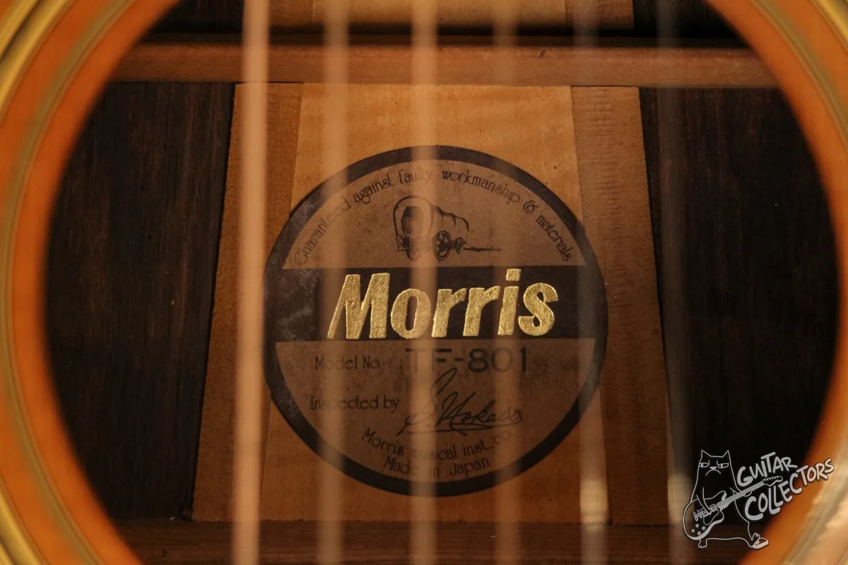 Morris TF-801 Acoustic Dreadnought