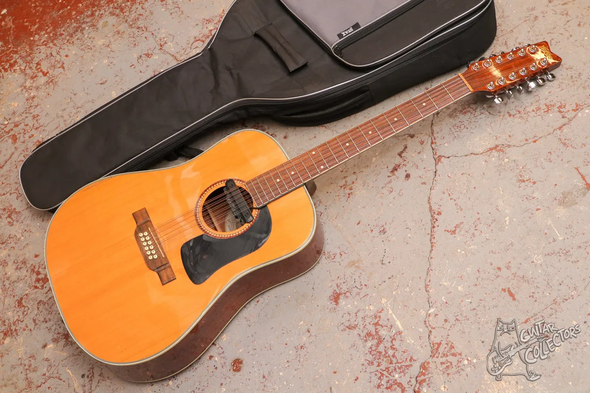 Washburn D10S 12-str + Tonewood amp