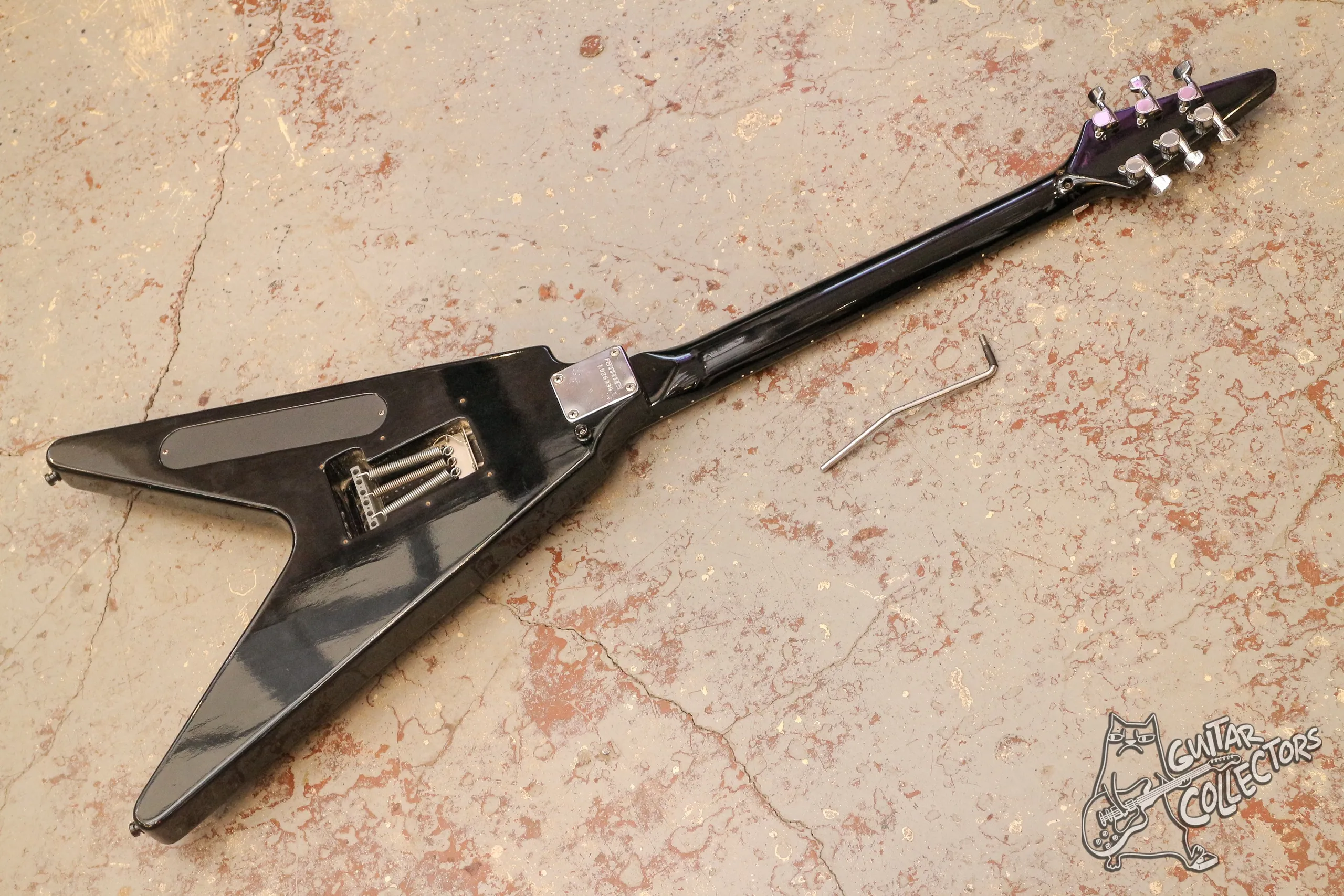 Fernandes BSV-70 The Function Flying V