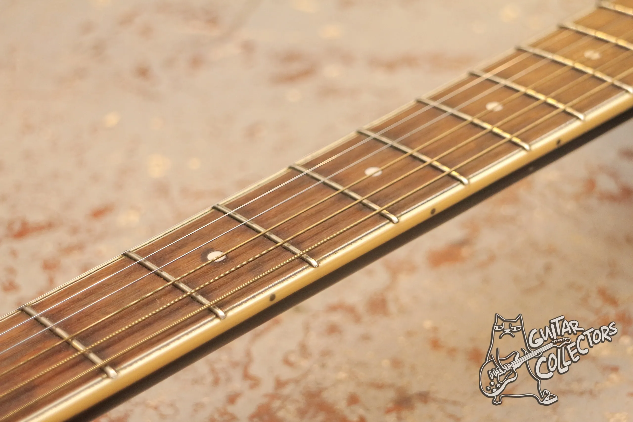 Aria FET-01STD Electric Acoustic