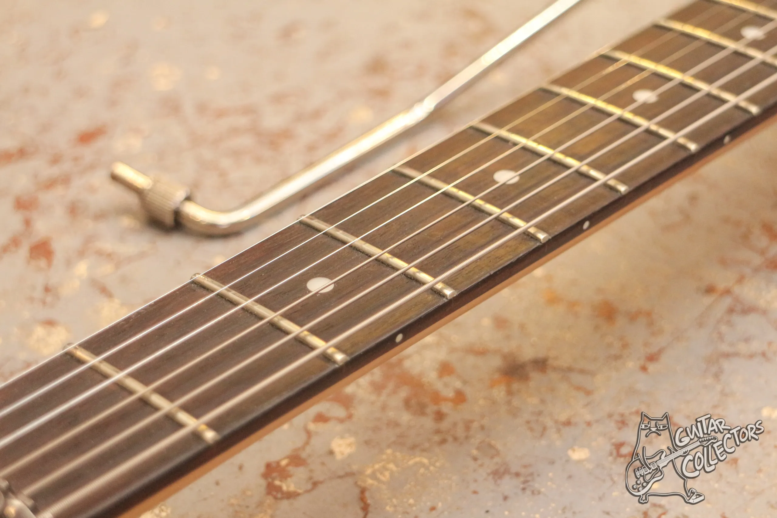 Ibanez Jem Jr