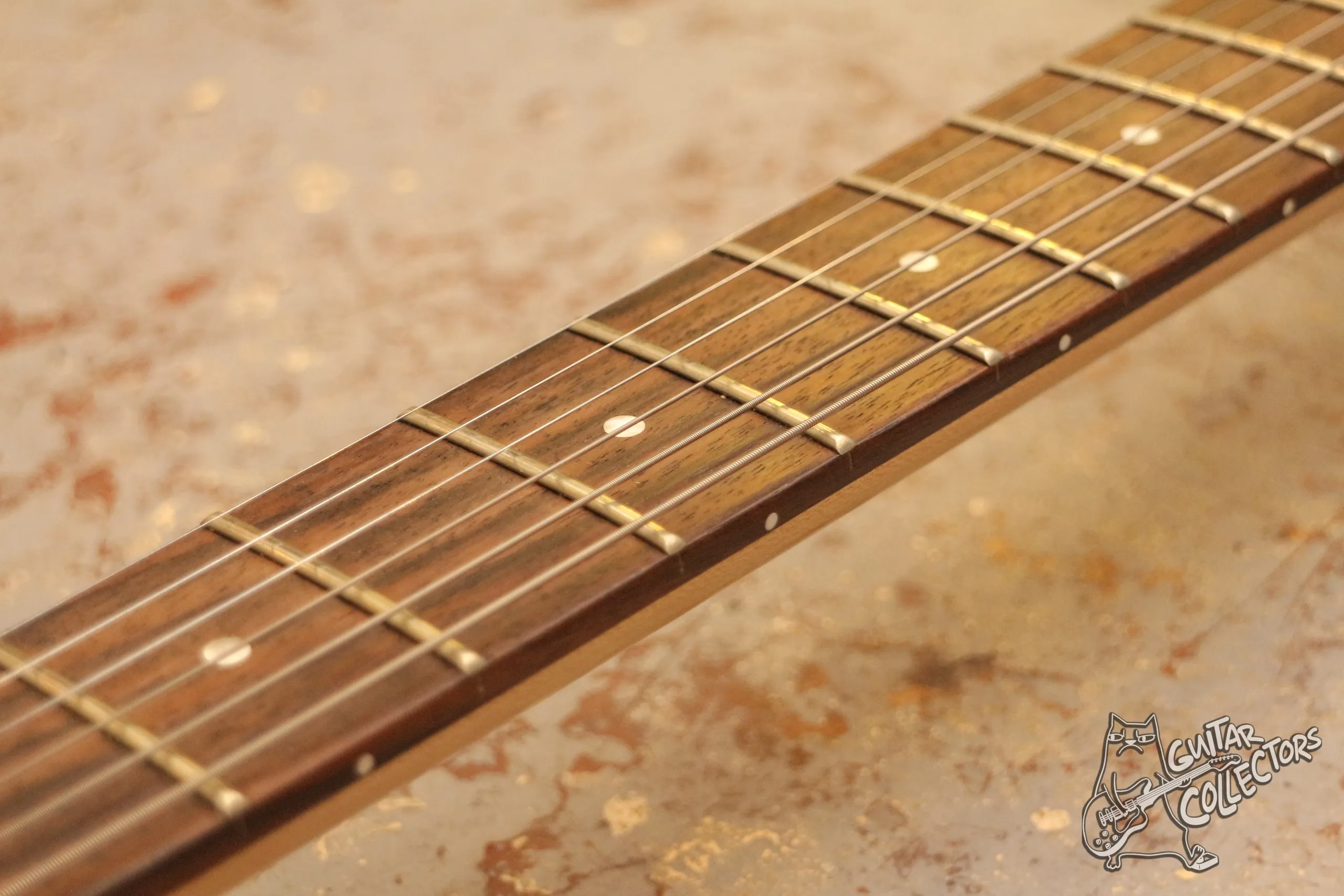 Fernandes Dragonfly-X White