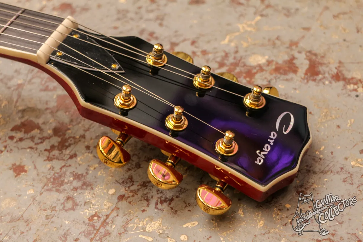 Caraya E239CS Les Paul Hollow Body NEW