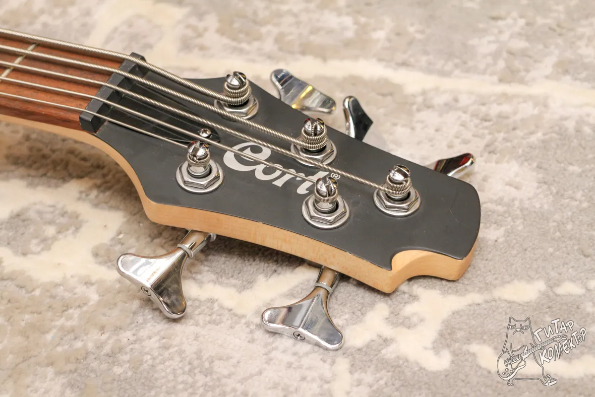 Cort Action V 5-Str Bass