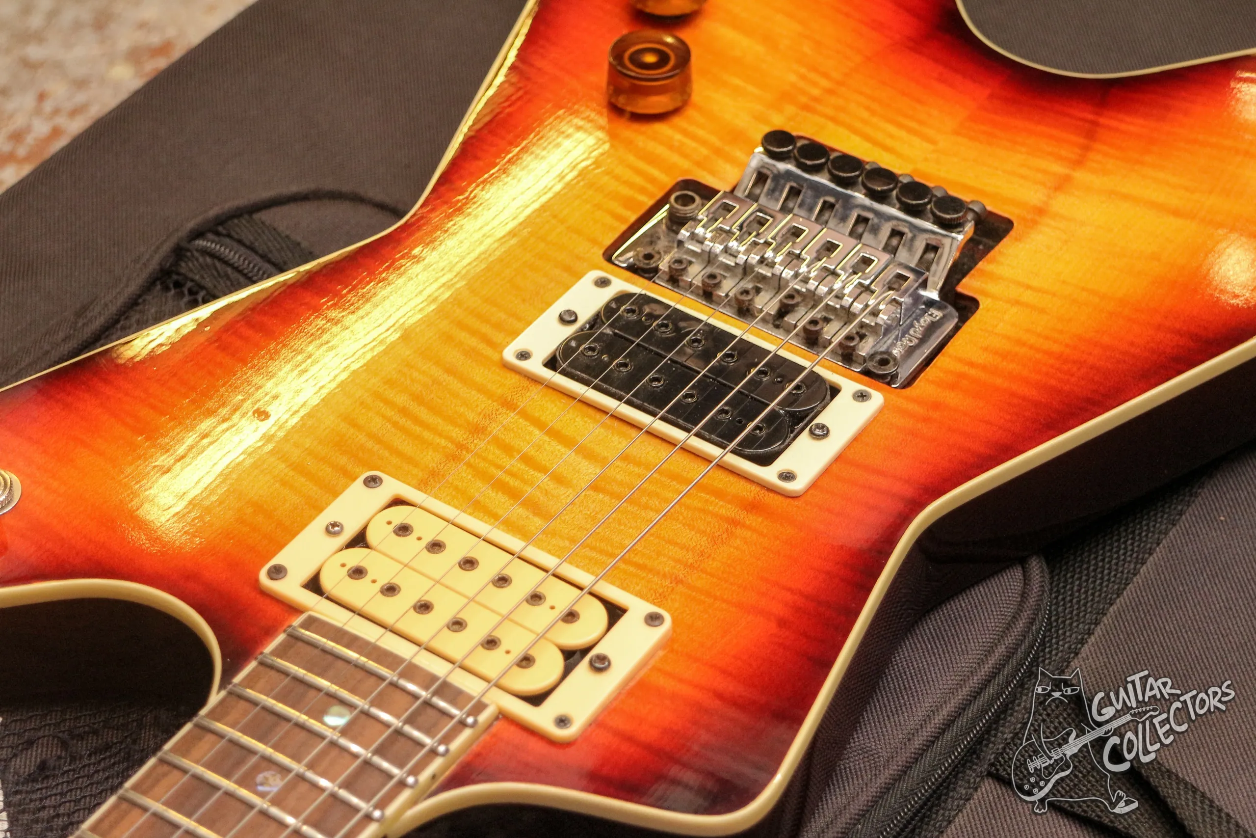 Dean Dimebag Dime Floyd ML