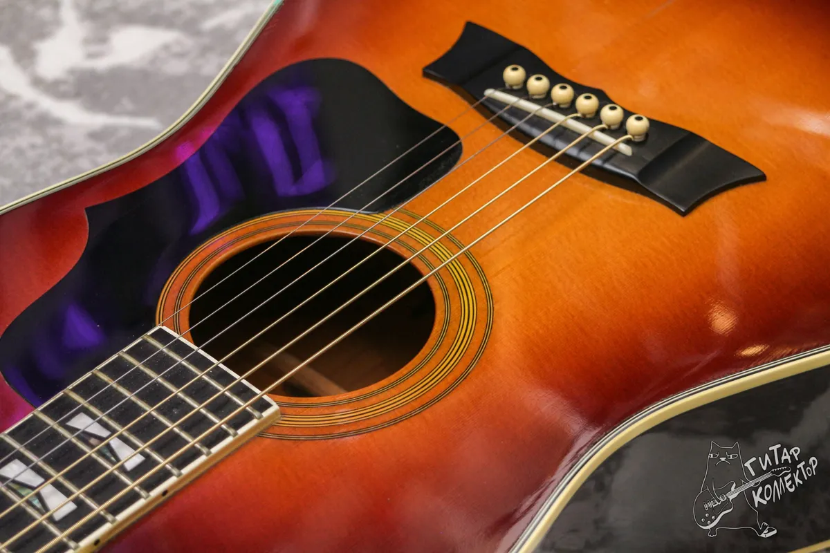 Morris MG 63E Travel Acoustic Electric