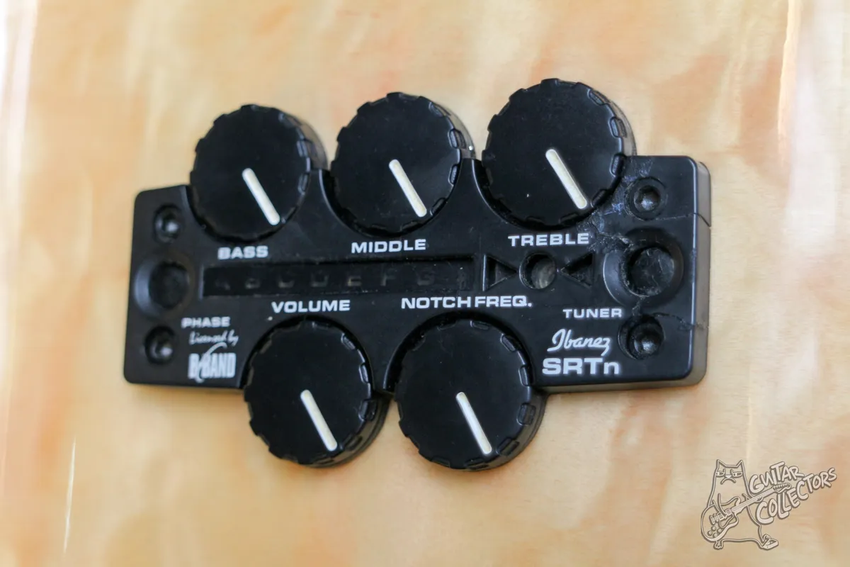 Ibanez EW30QME EW-Series Acoustic