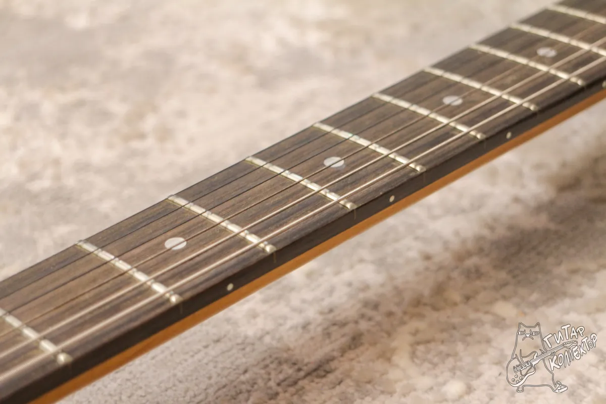 SGR by Schecter 006