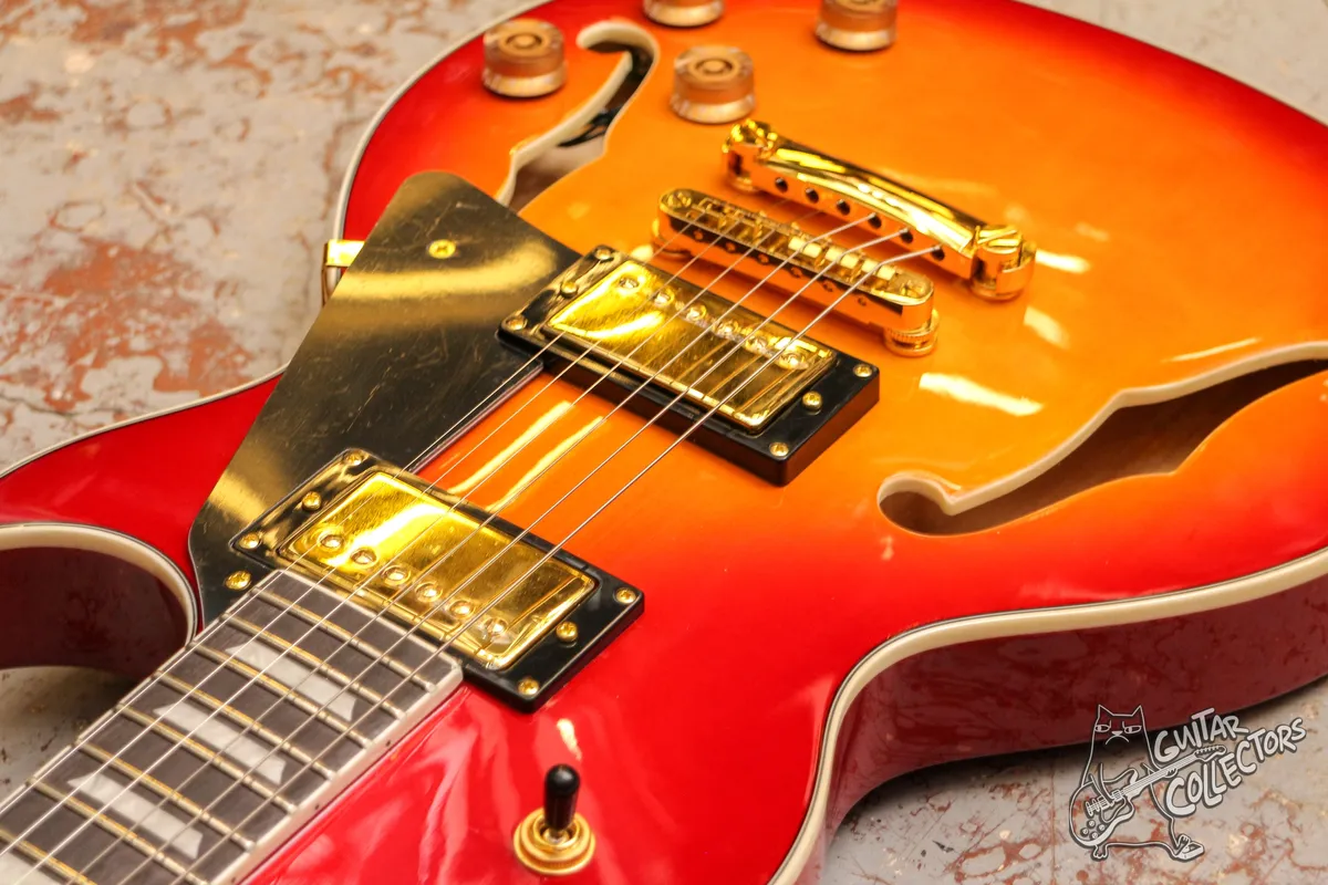 Caraya E239CS Les Paul Hollow Body NEW