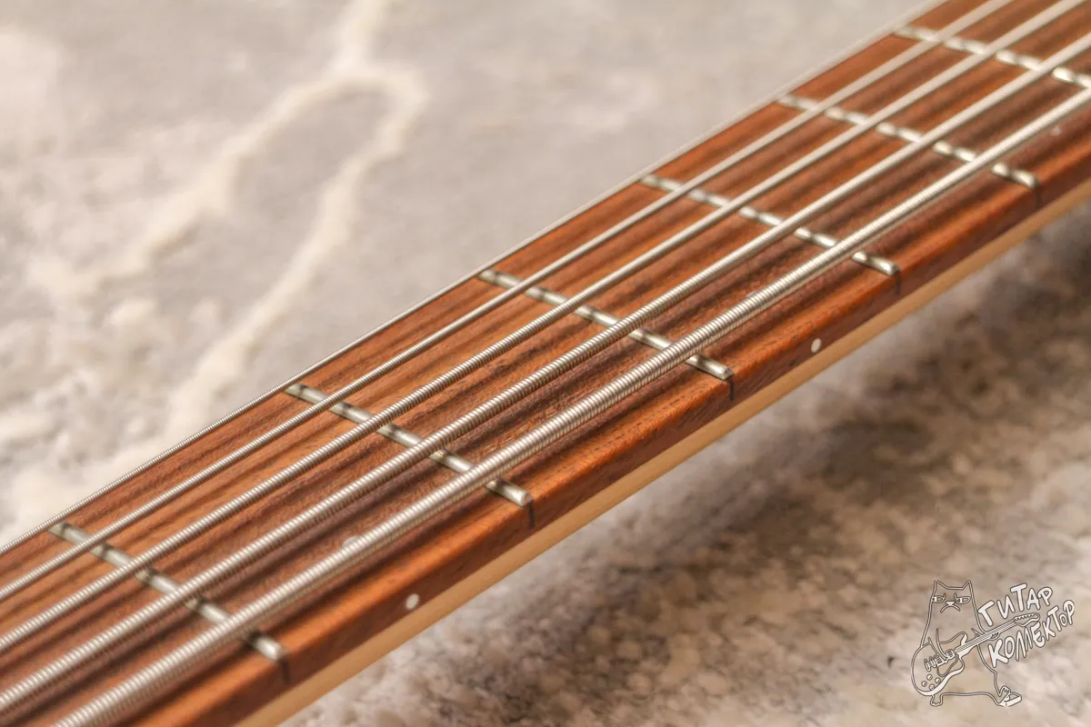 Cort Action V 5-Str Bass