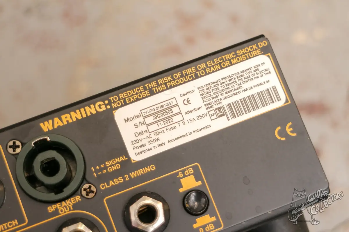 DV Mark DV Little GH 250 Tube Greg Howe Guitar Amp Head