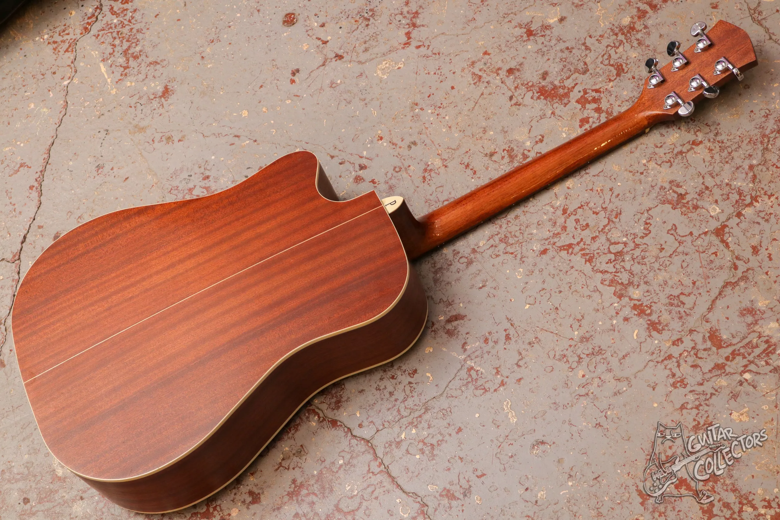 Parkwood S26-GT Electric Acoustic