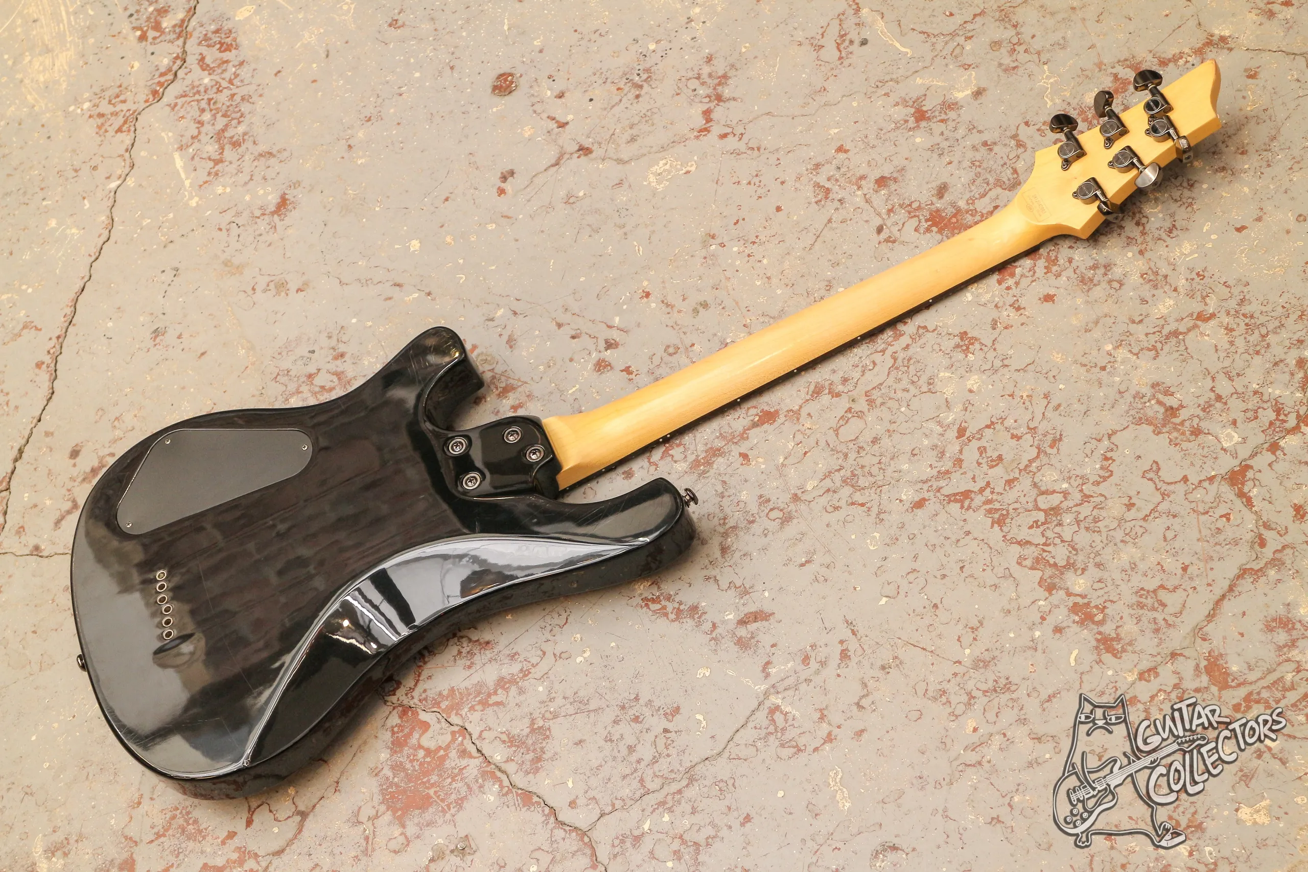 SGR by Schecter 006