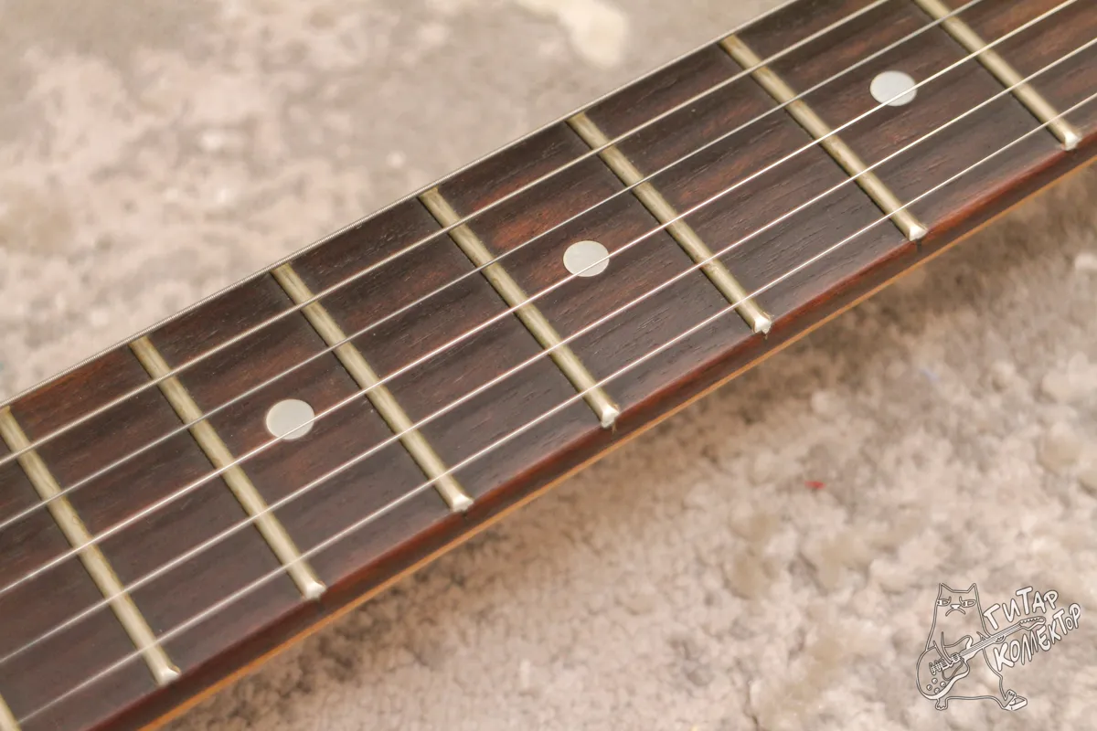 Зеленый Слоник Fernandes ZO-3 Travel Surf Green