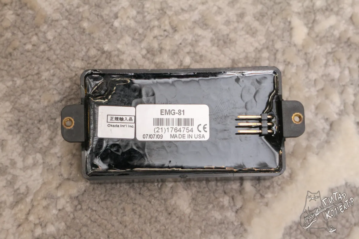 EMG 81