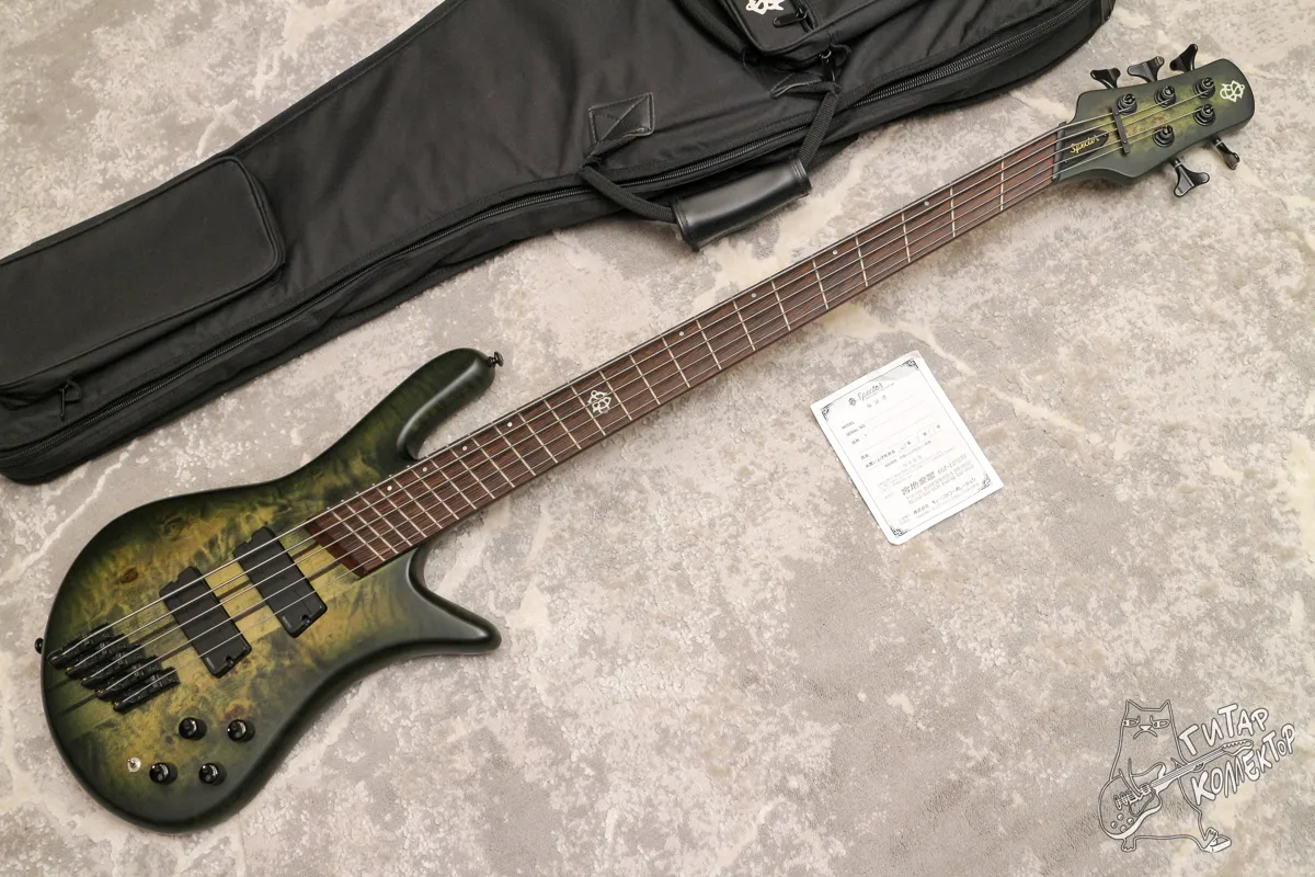 Spector NS Dimension 5 Multiscale Bass Haunted Moss