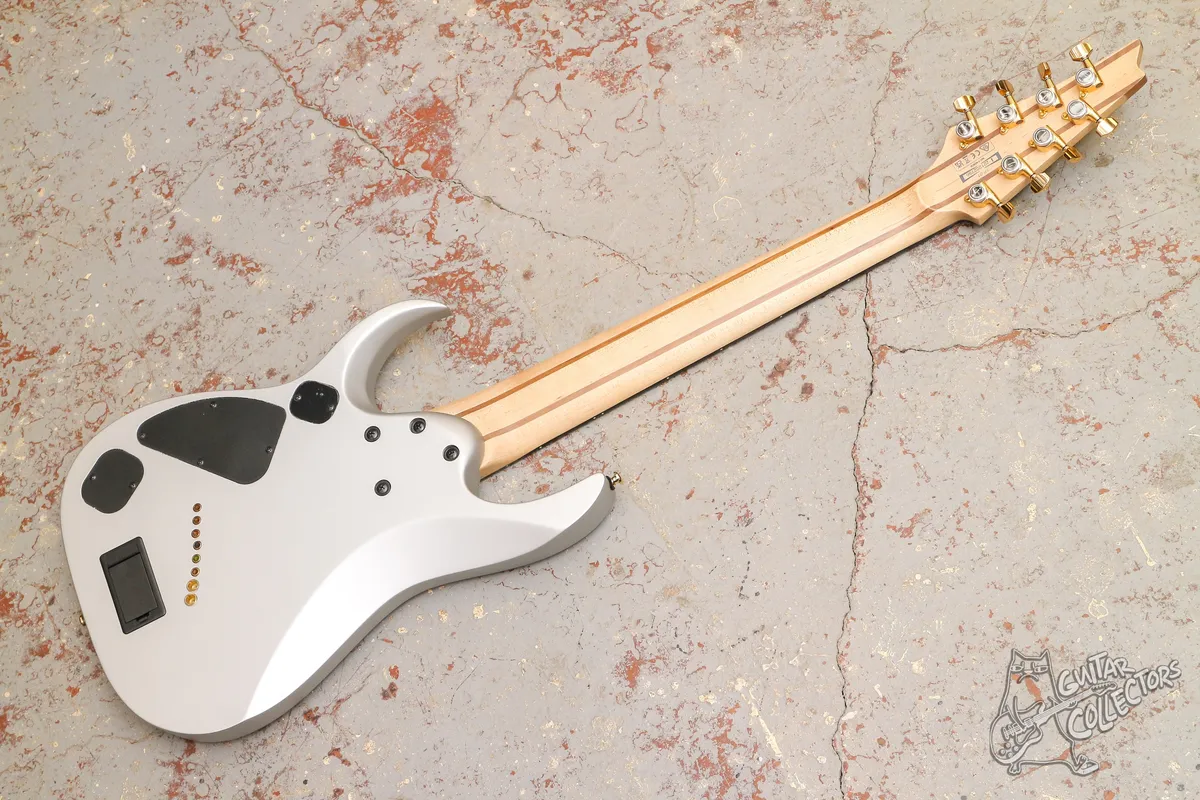 Ibanez Axe Design Lab Standard RGDMS8-CSM