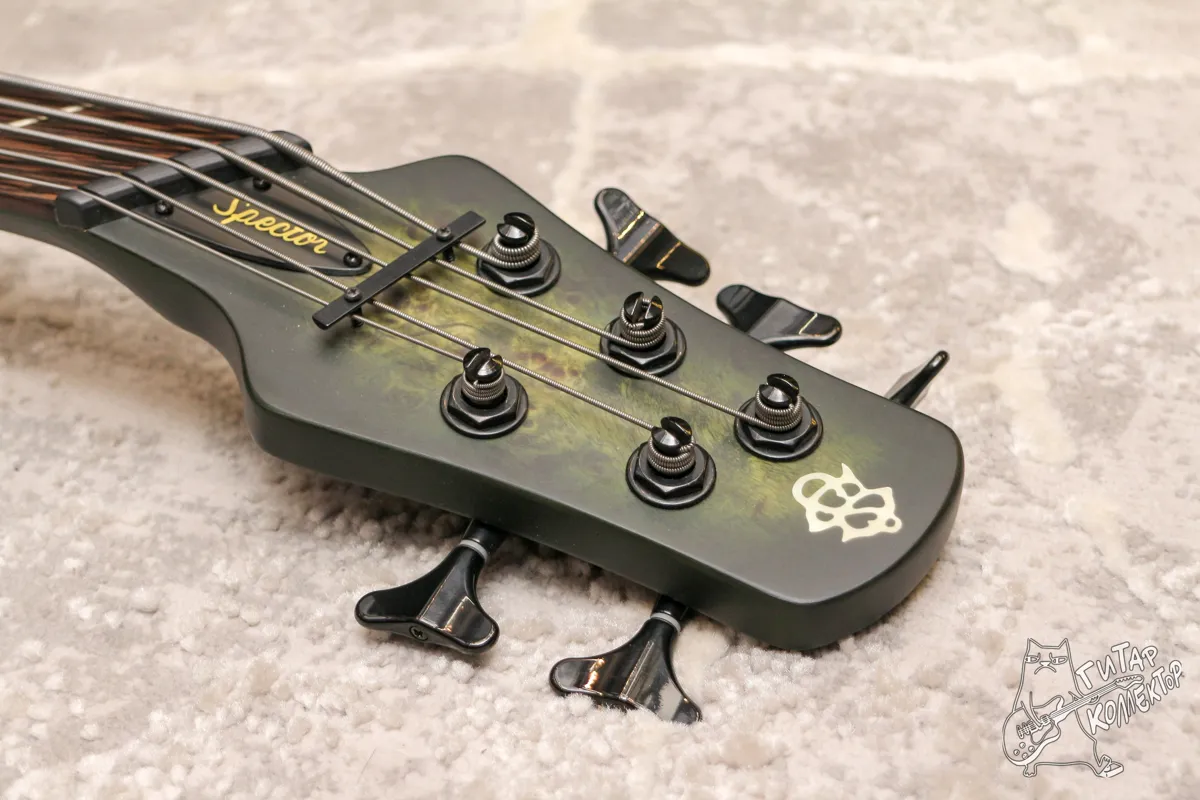 Spector NS Dimension 5 Multiscale Bass Haunted Moss