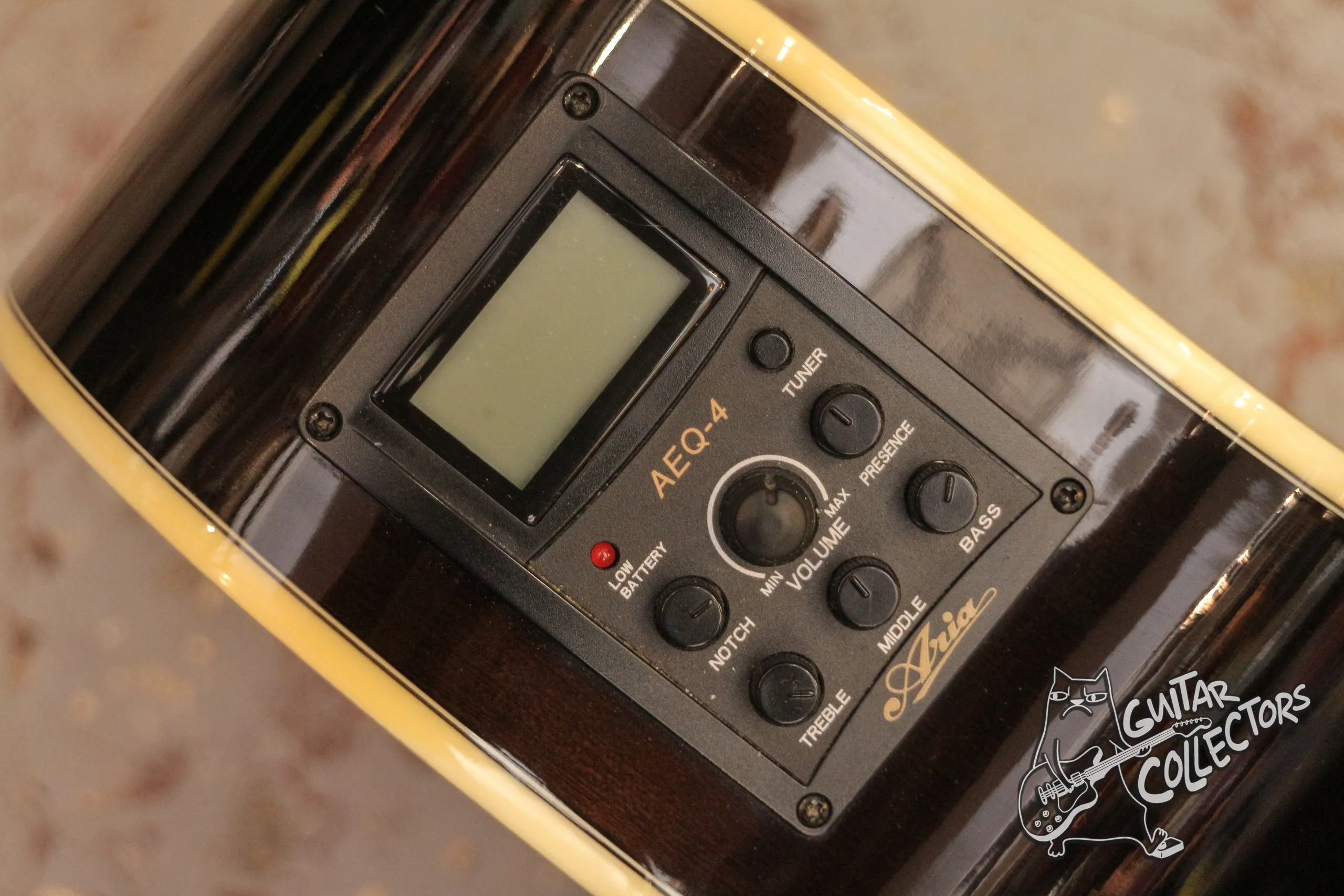 Aria FET-01STD Electric Acoustic