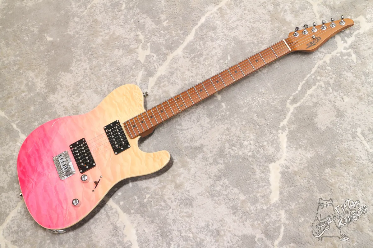 JET JT-450 QTPK Telecaster HH