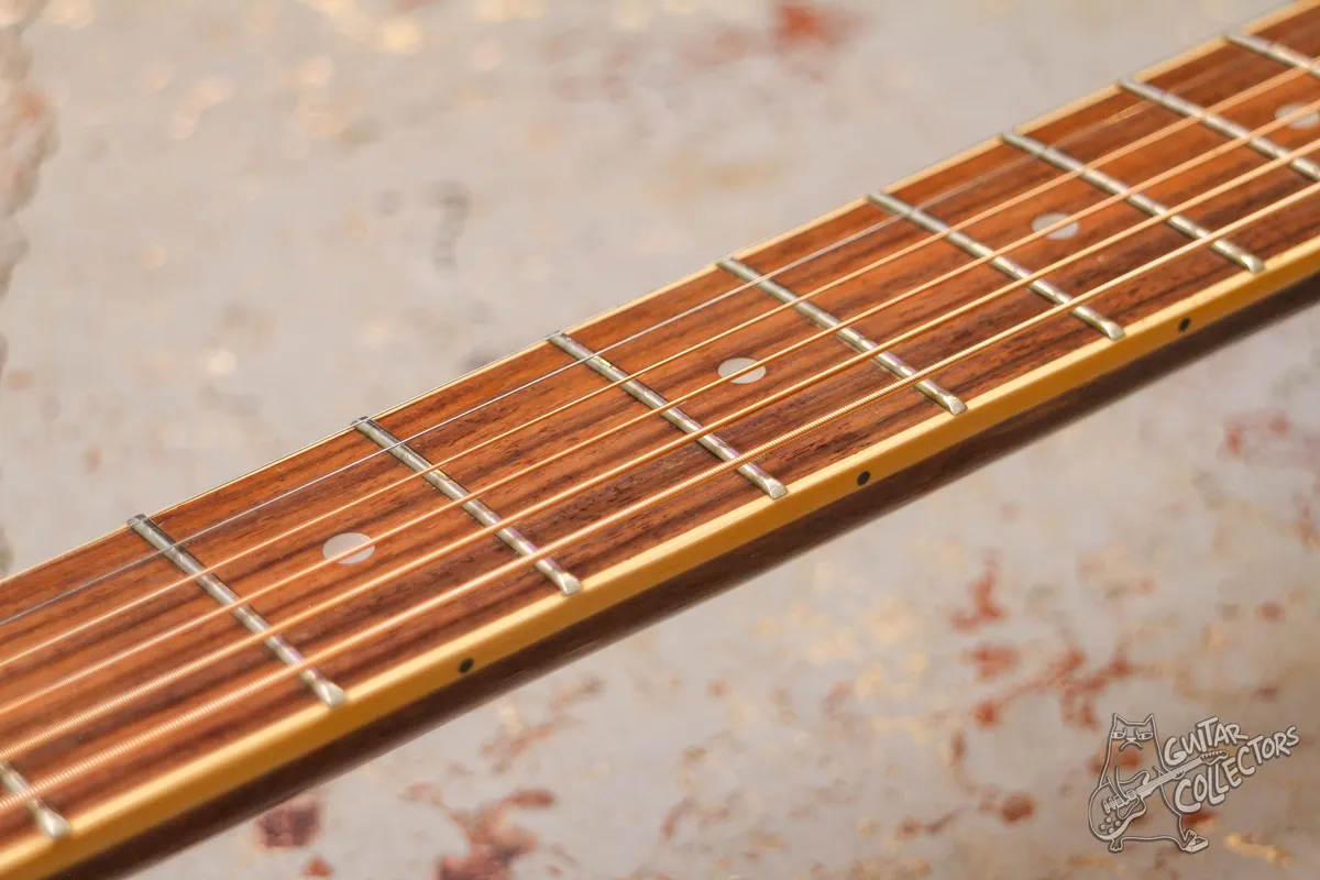 Grass Land Resonator Guitar