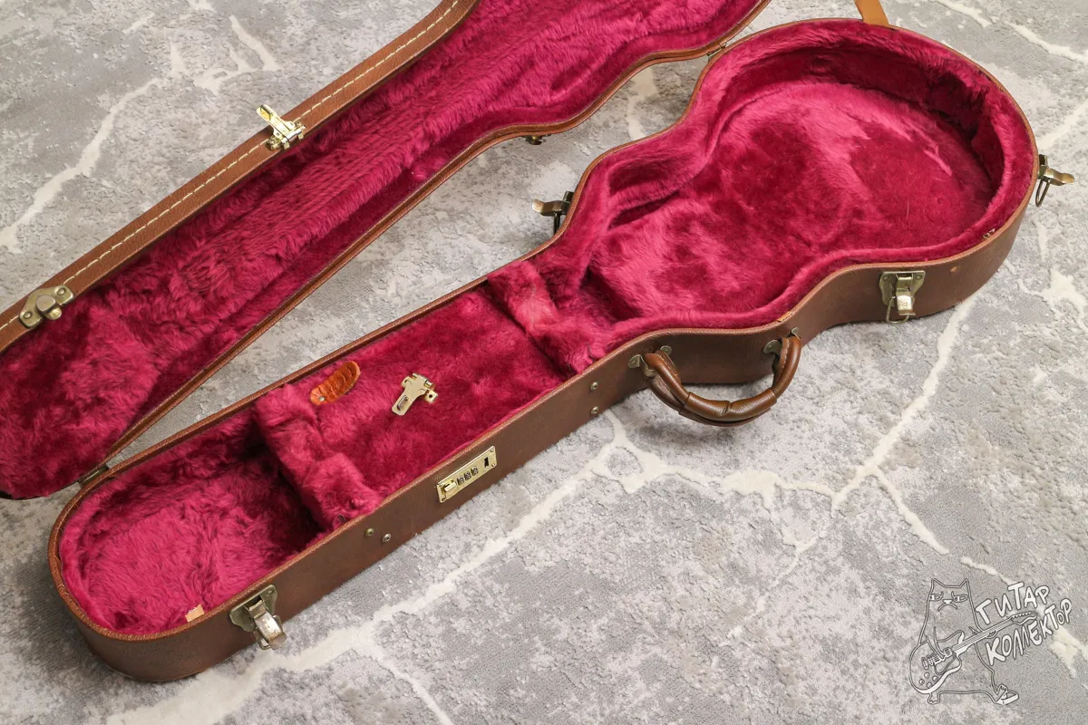 Gibson USA Les Paul Case Canada