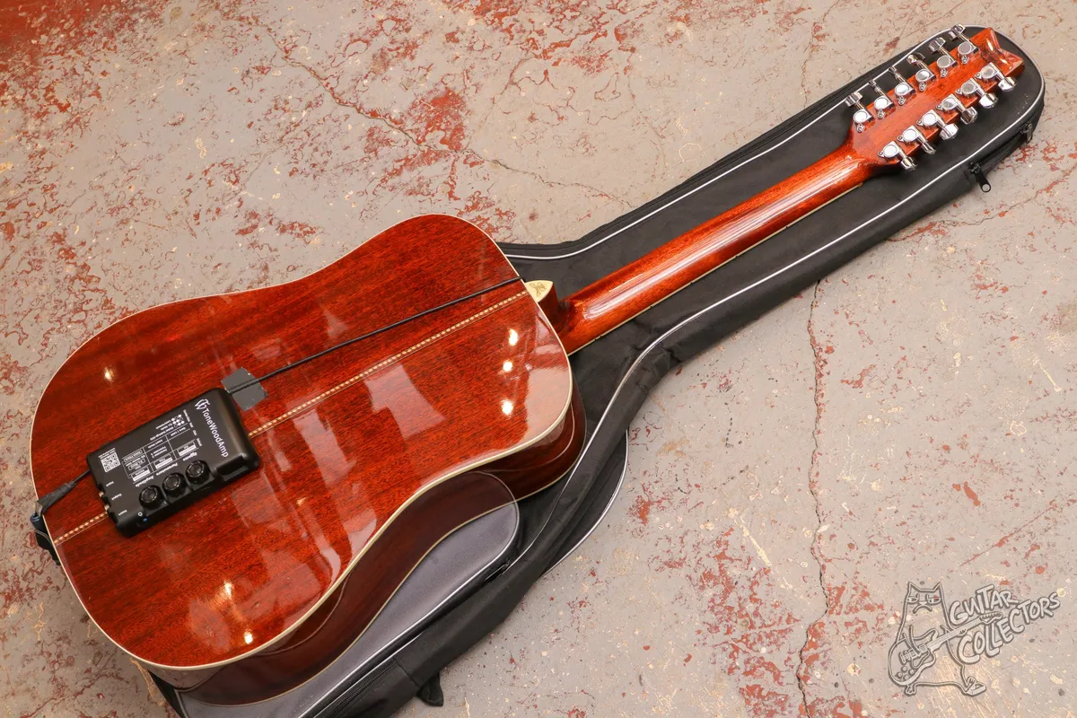 Washburn D10S 12-str + Tonewood amp