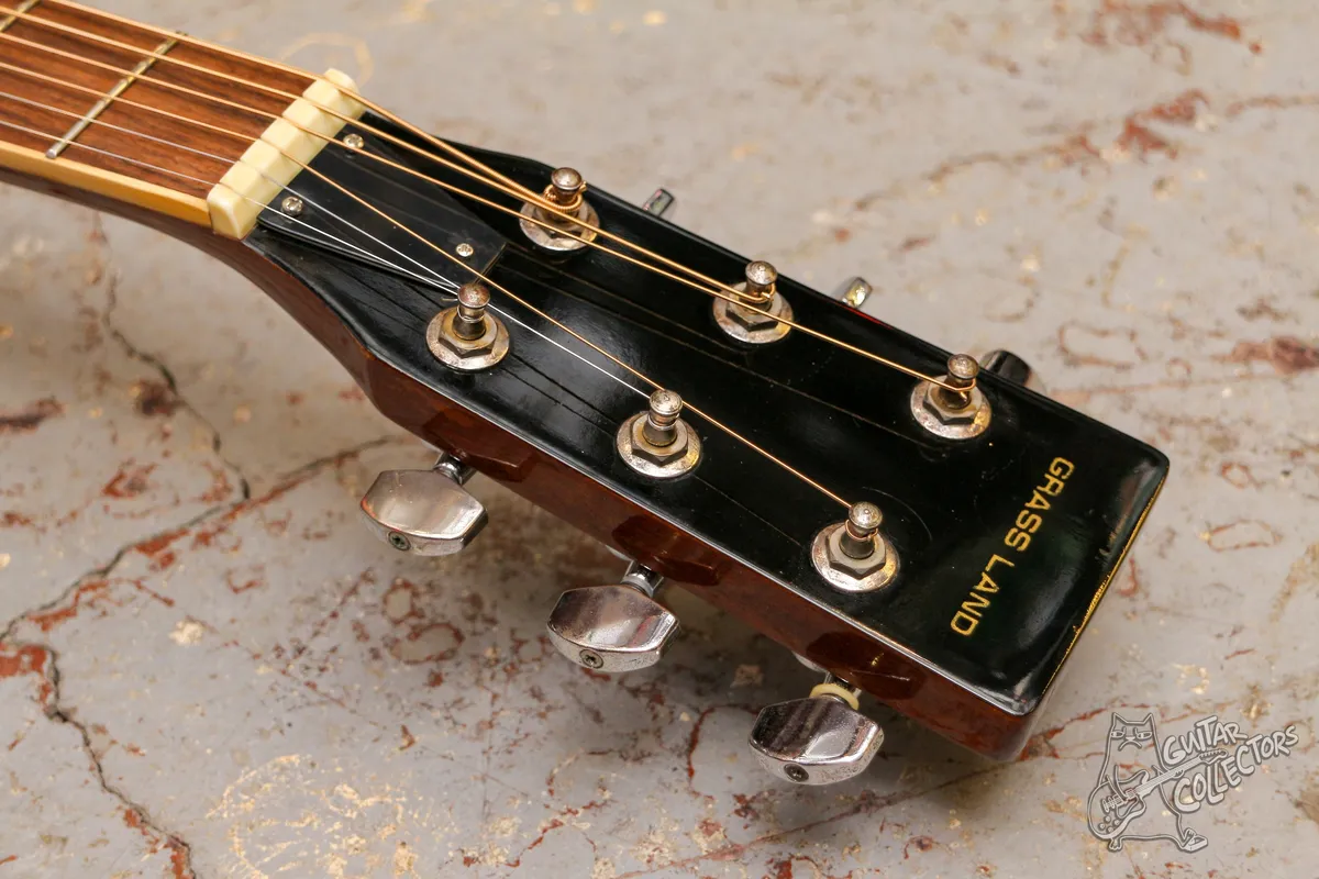 Grass Land Resonator Guitar