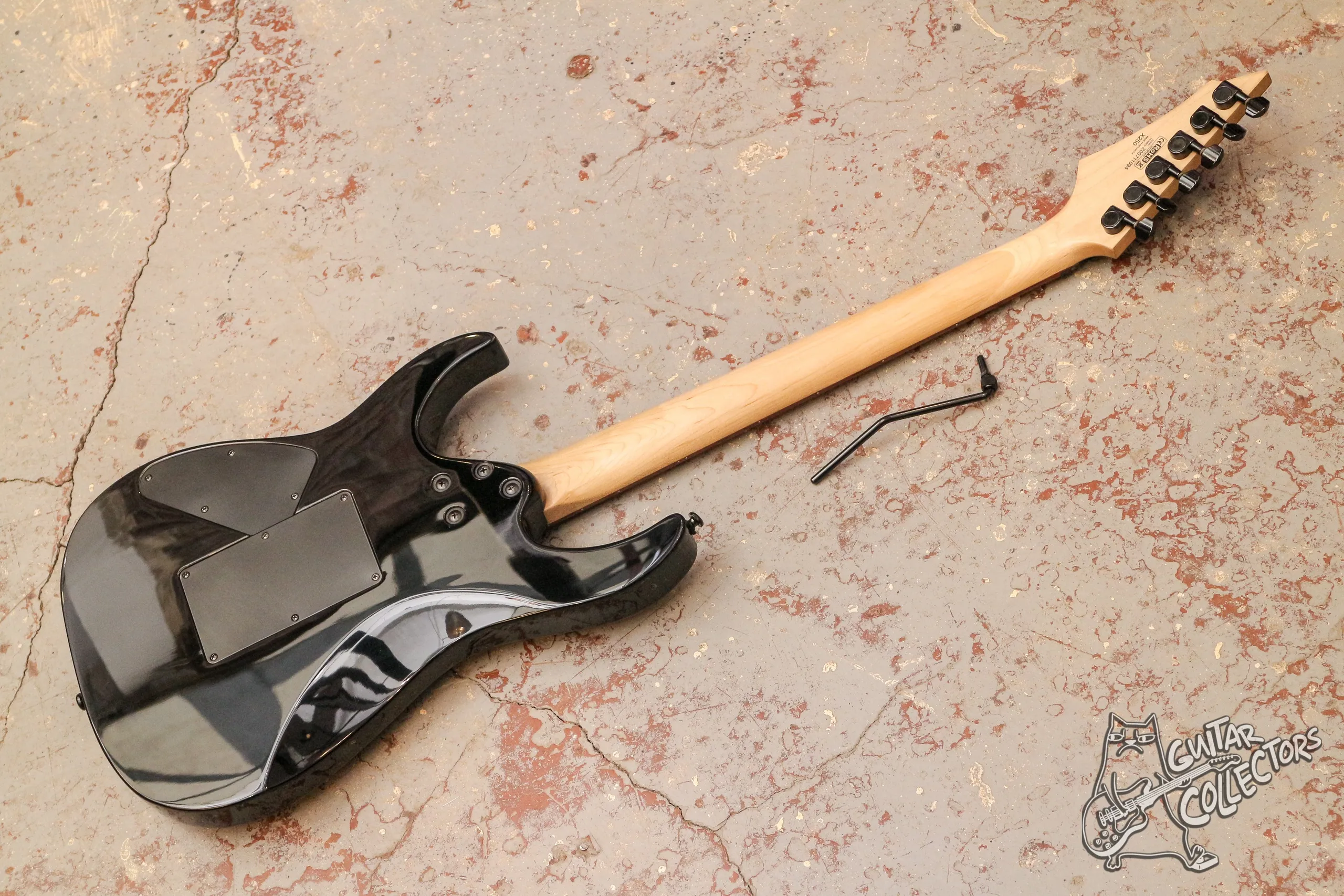 Cort X-250