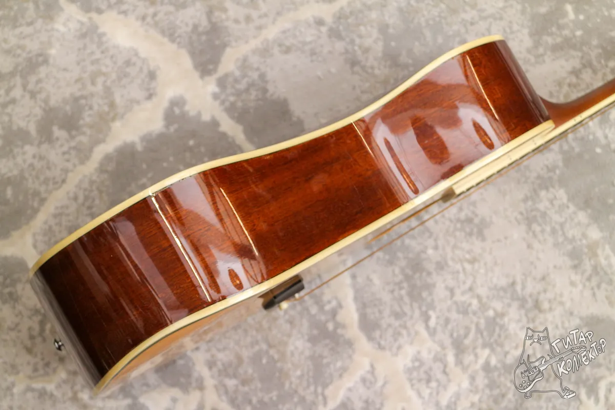 Washburn WCD18 Dreadnought Natural