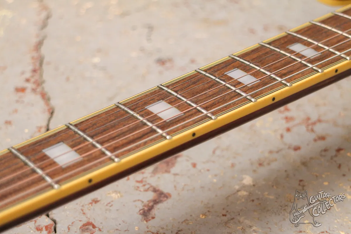 Aria Pro II Titan Artist TA-62C Hollow-Body