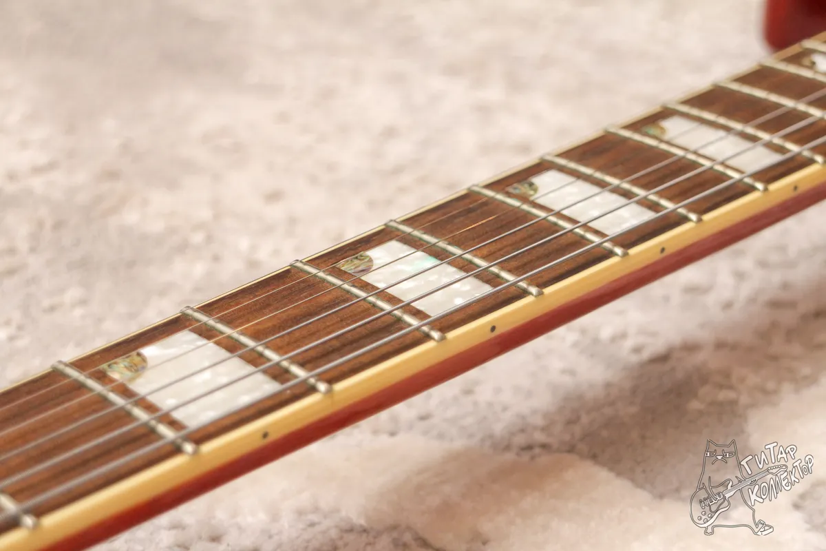 Cort M600 Black Cherry