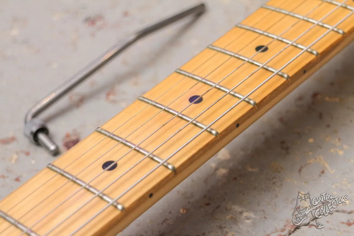 Schecter NV-II-24 Stratocaster