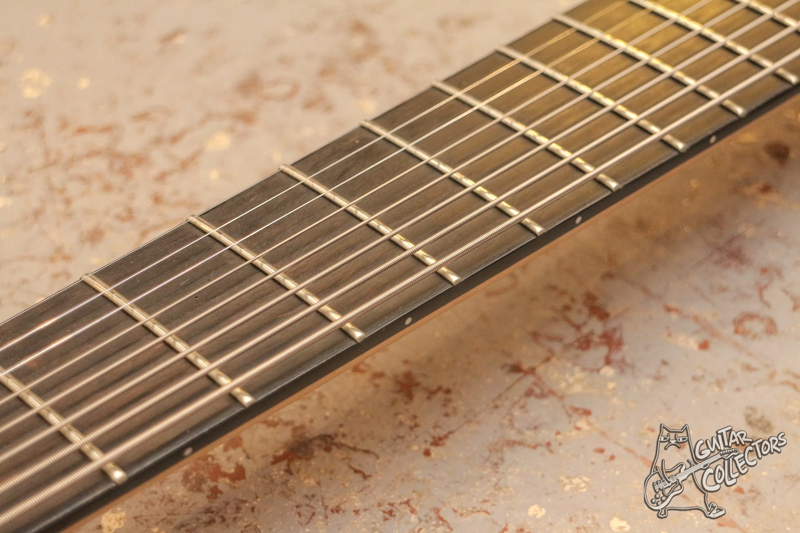 Ibanez RGIX28FEQM Iron Label 8-Str