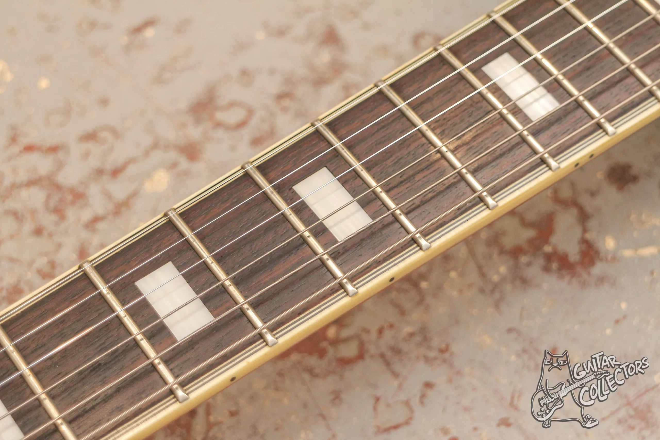 Aria Pro II Titan Artist TA-62C