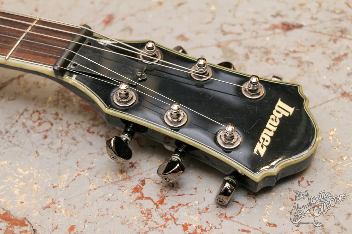 Ibanez Darkstone DN500