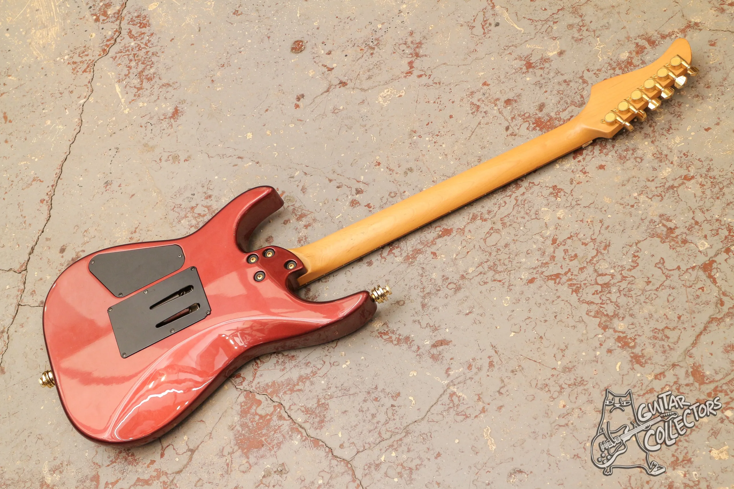 Fernandes FR 65